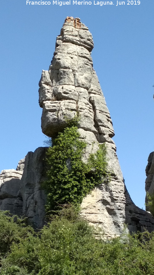 Torcal de Antequera. La Aguja del Agrasol - Torcal de Antequera. La Aguja del Agrasol. 