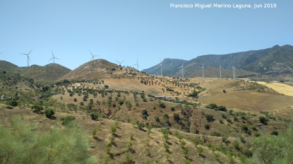 Parque elico de Sierra Blanquilla - Parque elico de Sierra Blanquilla. 