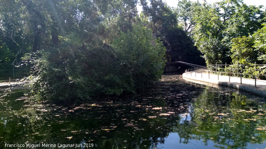 Carmen de los Mrtires. Lago - Carmen de los Mrtires. Lago. 