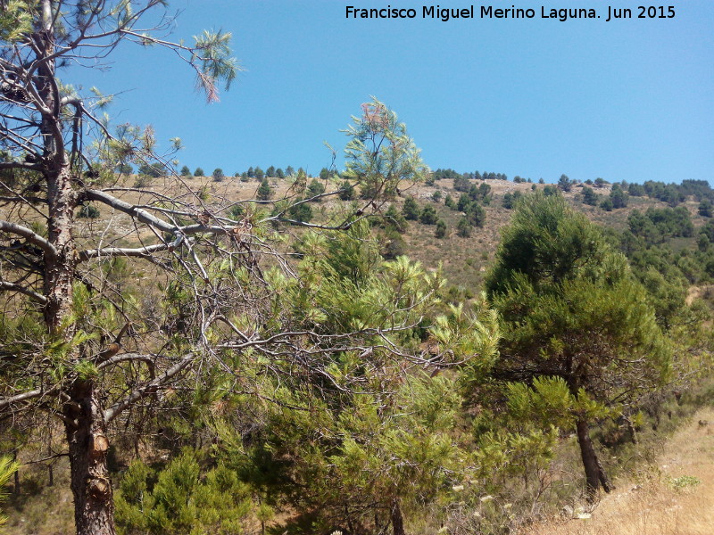 Sierra de la Grana - Sierra de la Grana. 