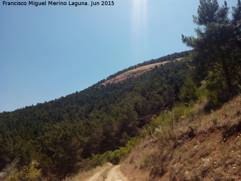 Sierra de la Grana - Sierra de la Grana. 