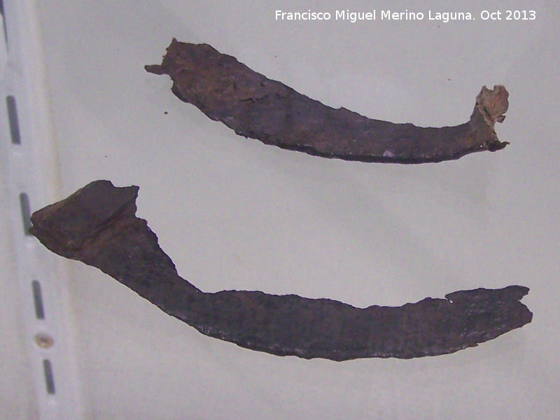 Necrpolis de la Loma del Peinado - Necrpolis de la Loma del Peinado. Museo Colegio San Antonio de Padua - Martos