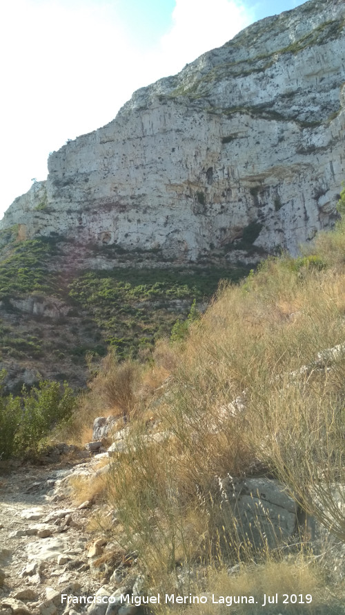 Montg - Montg. 