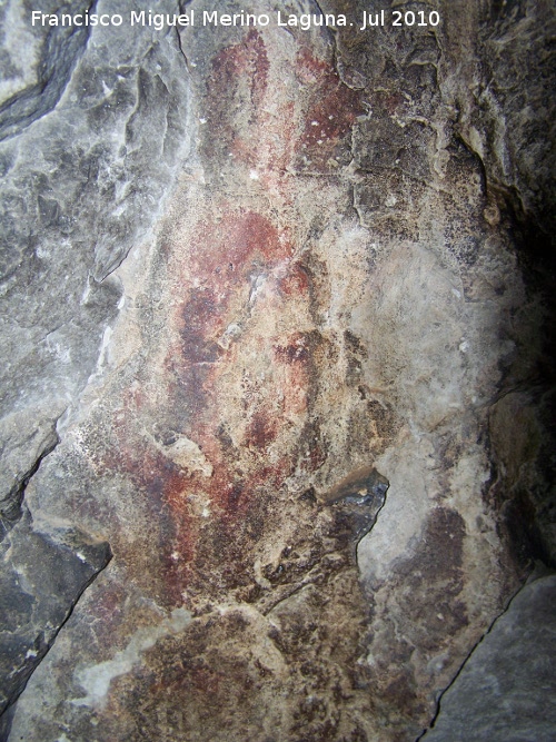 Pinturas rupestres de la Cueva Secreta Grupo I - Pinturas rupestres de la Cueva Secreta Grupo I. Restos sobre el pectiniforme