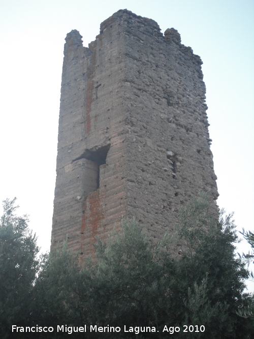 Torre Sur de Santa Catalina - Torre Sur de Santa Catalina. 