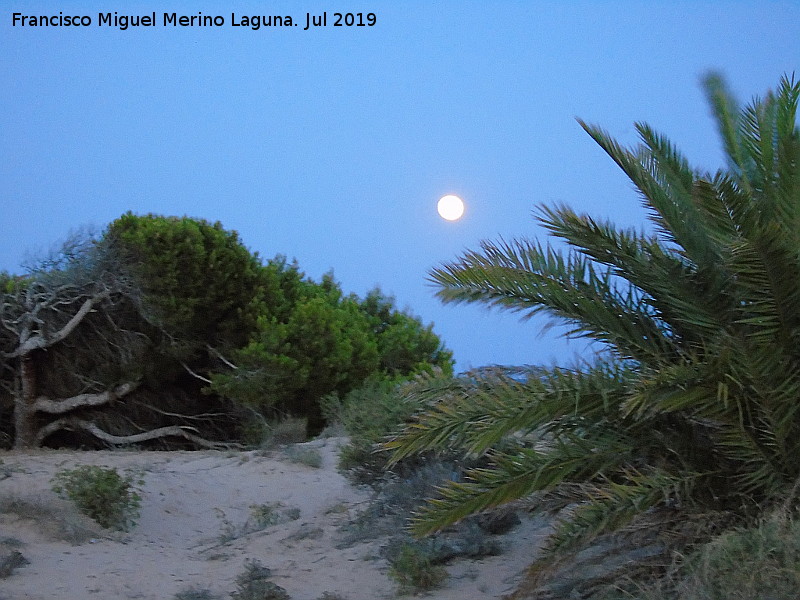 Playa de Carabass - Playa de Carabass. 