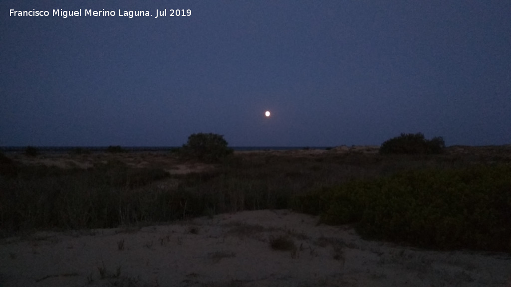 Playa de Carabass - Playa de Carabass. 