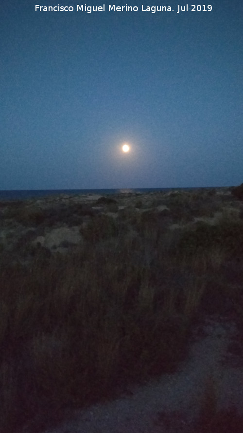Playa de Carabass - Playa de Carabass. 