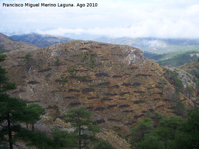 Cerro de Gontar de Santiago - Cerro de Gontar de Santiago. Parte del cerro que ardio a causa de un rayo
