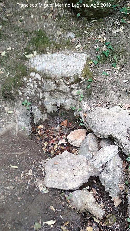 Fuente de Agustn y Pepa - Fuente de Agustn y Pepa. 