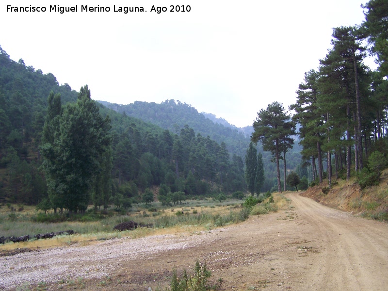 Camino de Caada del Saucar - Camino de Caada del Saucar. 