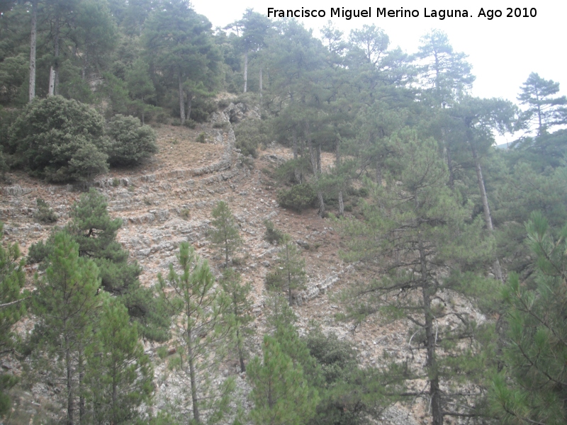 Cueva de Hoya Manchega - Cueva de Hoya Manchega. Estratos