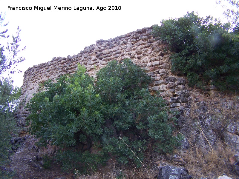 Muralla de la aldea medieval de La Espinareda - Muralla de la aldea medieval de La Espinareda. Lienzo de mampostera