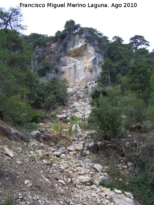 Fuente del Tejo - Fuente del Tejo. Desprendimiento