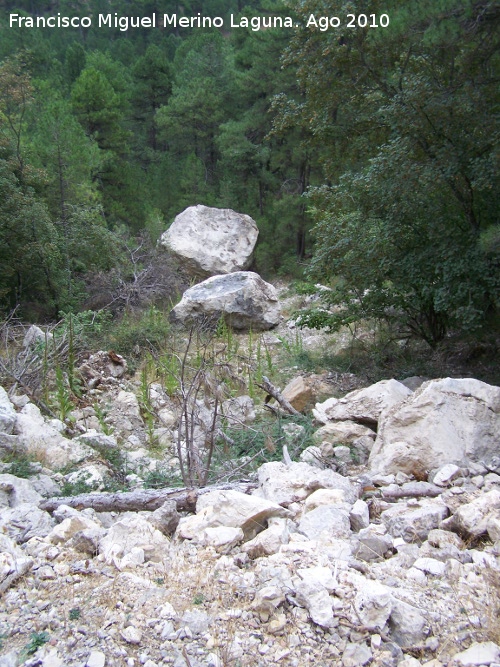 Fuente del Tejo - Fuente del Tejo. Desprendimiento