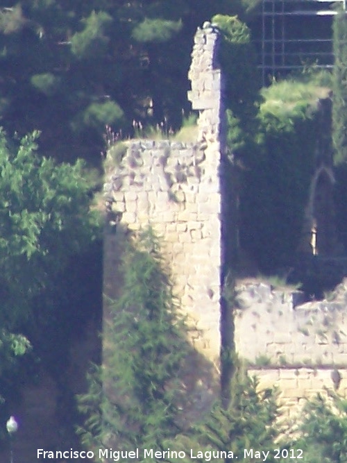 La Mota. Torre del Alhor - La Mota. Torre del Alhor. 