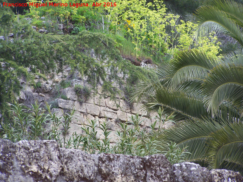 La Mota. Muralla del Arrabal Viejo - La Mota. Muralla del Arrabal Viejo. Muralla de sillera cercana a la Puerta Martn Ruiz