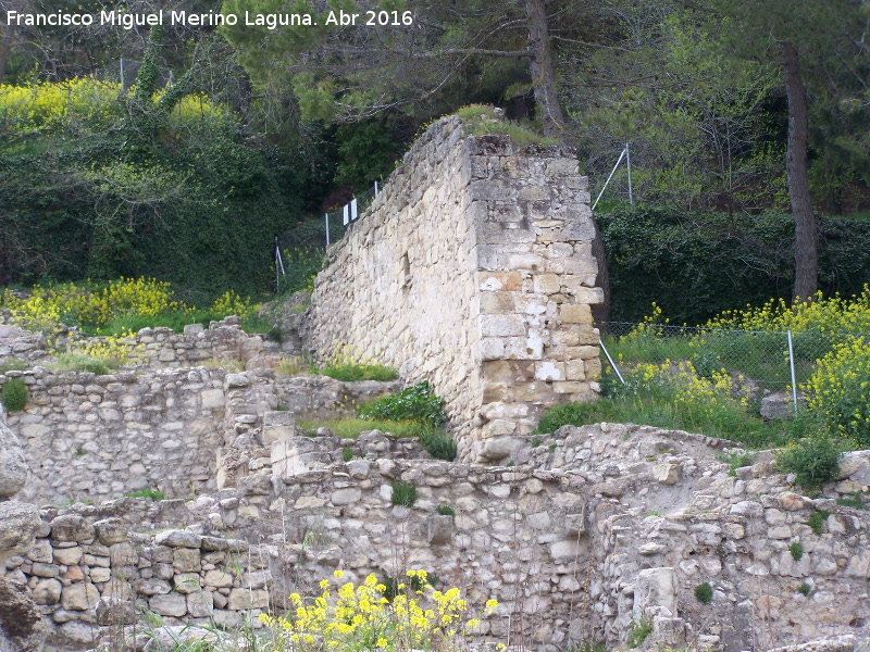 La Mota. Muralla del Arrabal Viejo - La Mota. Muralla del Arrabal Viejo. Muralla medianera que baja hacia la Puerta de Martn Ruiz