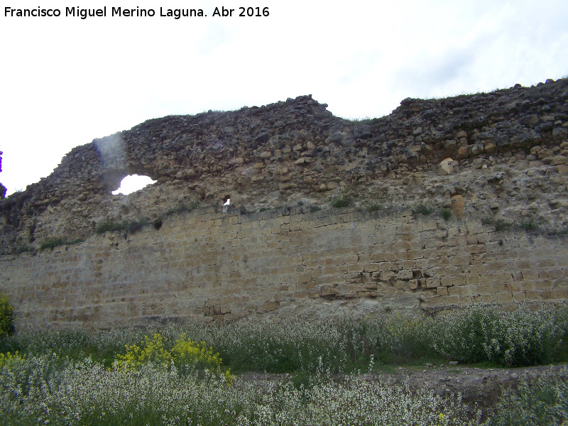 La Mota. Muralla del Arrabal Viejo - La Mota. Muralla del Arrabal Viejo. Lienzo entre el Torren V y VI a extramuros