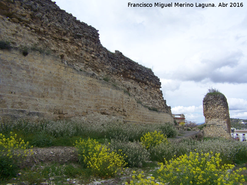 La Mota. Muralla del Arrabal Viejo - La Mota. Muralla del Arrabal Viejo. Lienzo y torren VI