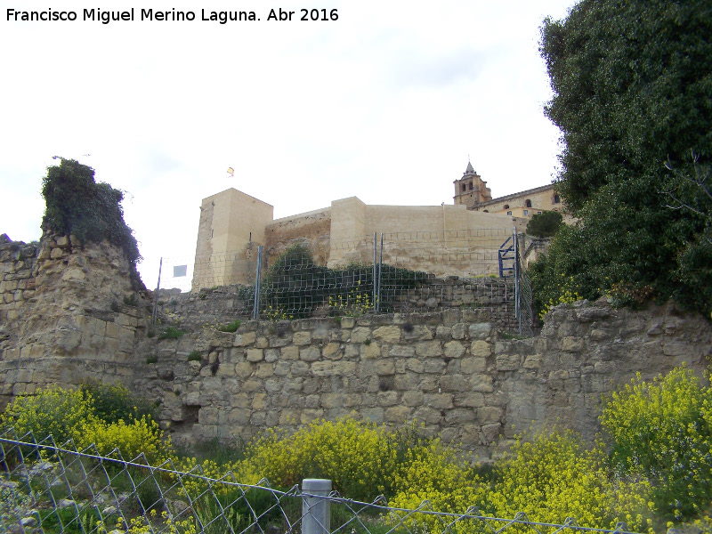 La Mota. Muralla del Arrabal Viejo - La Mota. Muralla del Arrabal Viejo. Lienzo extramuros entre el torren IV y V. Al fondo la muralla de La Mota