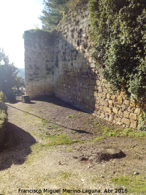 La Mota. Muralla del Arrabal Viejo - La Mota. Muralla del Arrabal Viejo. Primer quiebro de la muralla desde la Torre del Alhor hacia la Puerta Herrera