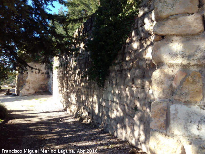 La Mota. Muralla del Arrabal Viejo - La Mota. Muralla del Arrabal Viejo. Lienzos entre el Torren VIII y la Puerta Herrera