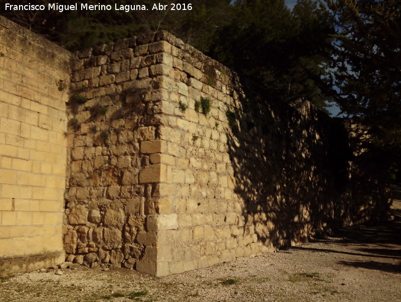 La Mota. Muralla del Arrabal Viejo - La Mota. Muralla del Arrabal Viejo. Primer quiebro desde el Torren VIII y la Puerta Herrera