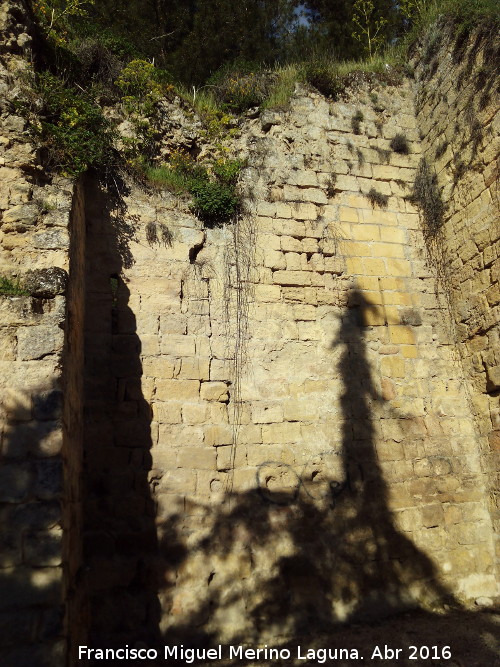 La Mota. Muralla del Arrabal Viejo - La Mota. Muralla del Arrabal Viejo. Lienzo entre el Torren VII y VIII