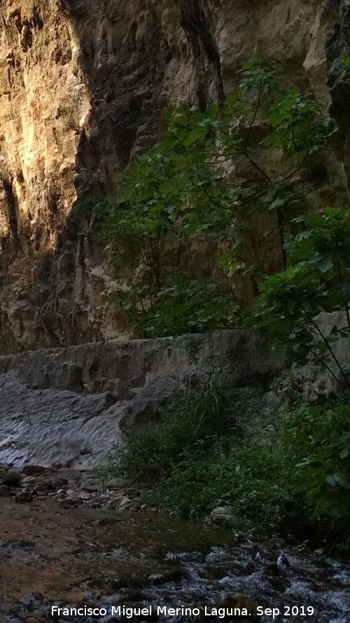 Caz del Molino Martos - Caz del Molino Martos. 