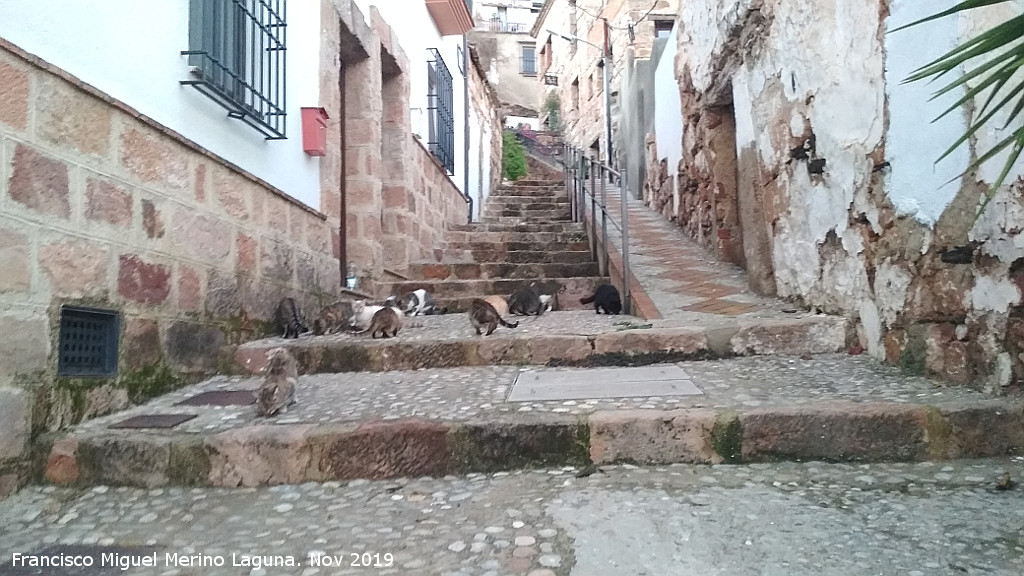 Calle Conquista - Calle Conquista. Escaleras