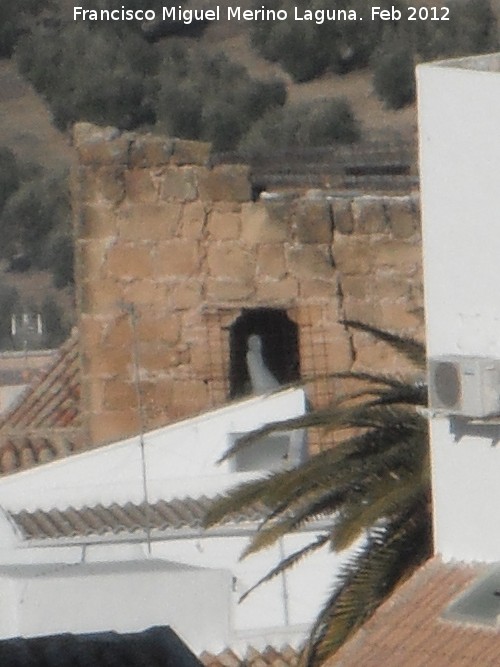 Muralla de Porcuna - Muralla de Porcuna. Puerta de acceso al habitculo superior del Torren de la Calle Nio Jess