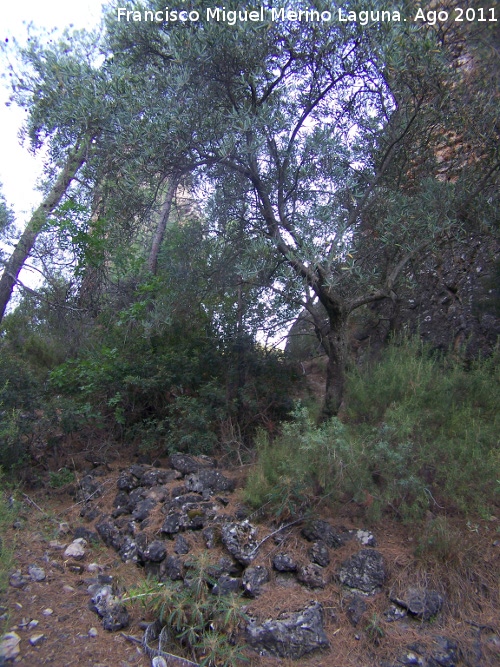 Castillo Puente Honda - Castillo Puente Honda. Ripios