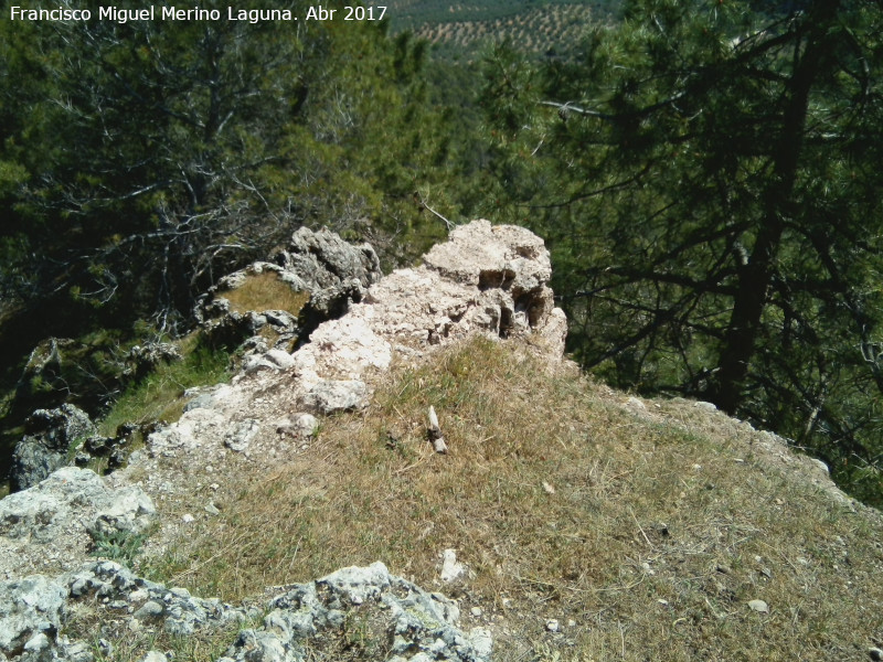 Castillo de la Yedra - Castillo de la Yedra. Muralla