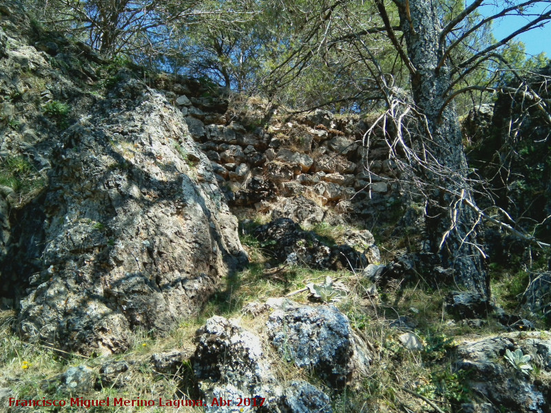 Castillo de la Yedra - Castillo de la Yedra. Muralla
