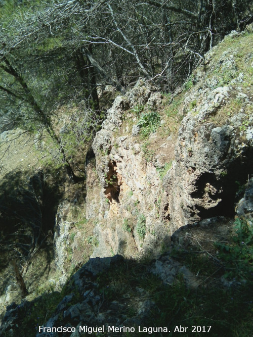 Castillo de la Yedra - Castillo de la Yedra. Muralla