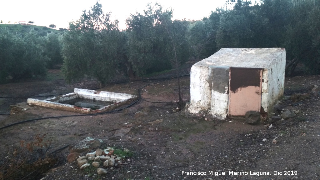 Cortijo del Camino del Porrosillo - Cortijo del Camino del Porrosillo. Alberca