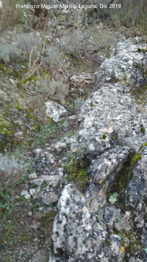 Trocha de Carboneros - Trocha de Carboneros. Detalle del borde del camino