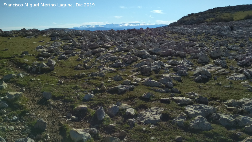 Collado del Tejuelo - Collado del Tejuelo. Con Sierra Nevada al fondo