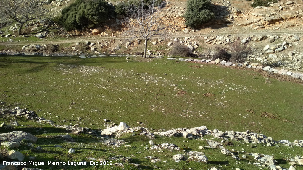 Era de las nimas - Era de las nimas. 