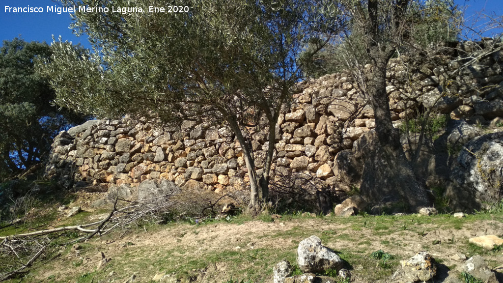 Oppidum de la Gineta - Oppidum de la Gineta. 