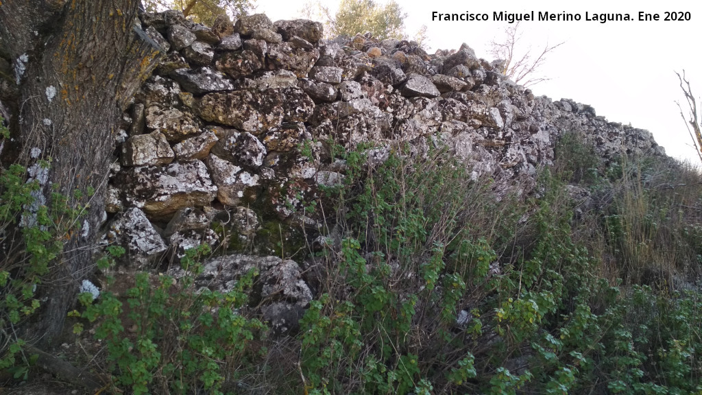 Oppidum de la Gineta - Oppidum de la Gineta. 