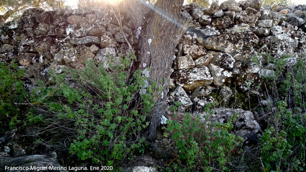 Oppidum de la Gineta - Oppidum de la Gineta. 