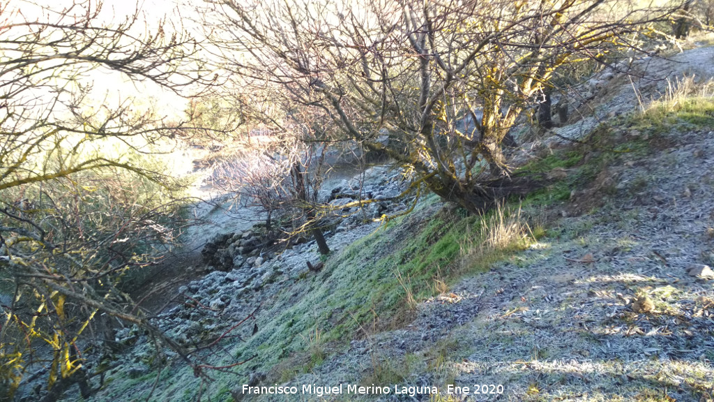 Oppidum de la Gineta - Oppidum de la Gineta. Resto de torre�n