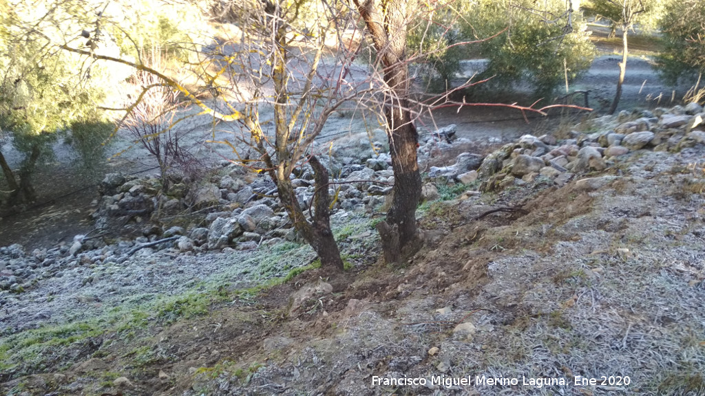 Oppidum de la Gineta - Oppidum de la Gineta. Resto de torre�n