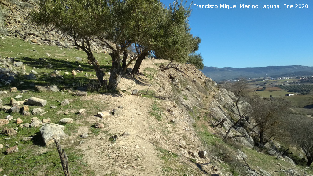 Oppidum de la Gineta - Oppidum de la Gineta. Camino de acceso