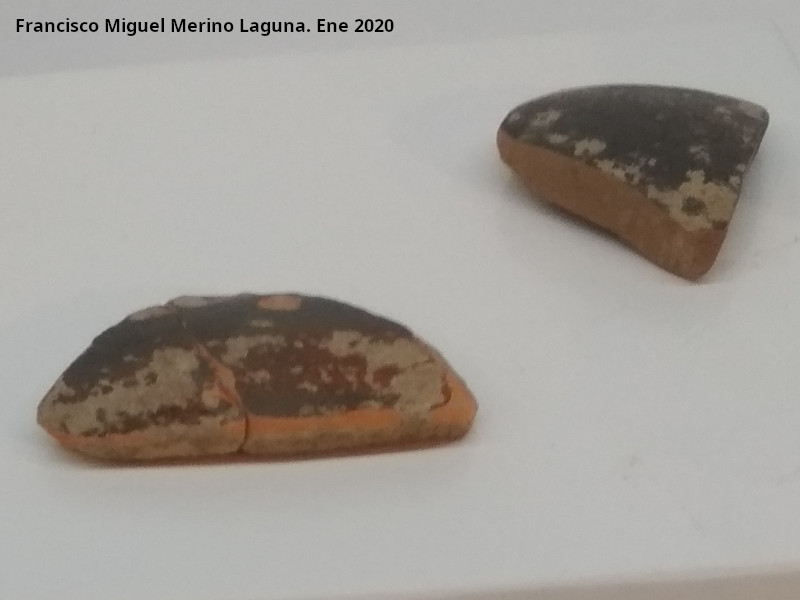 Cer�mica de Barniz Negro - Cer�mica de Barniz Negro. Palacio ibero del Cerro de la Merced - Cabra. Exposici�n en el Museo Ibero de Ja�n
