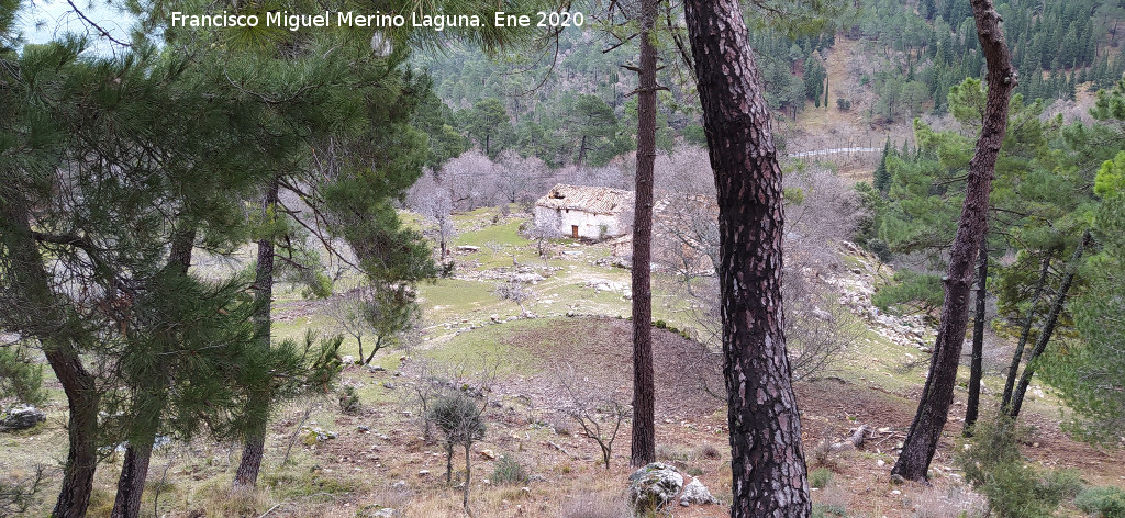 Cortijo de Locos - Cortijo de Locos. 