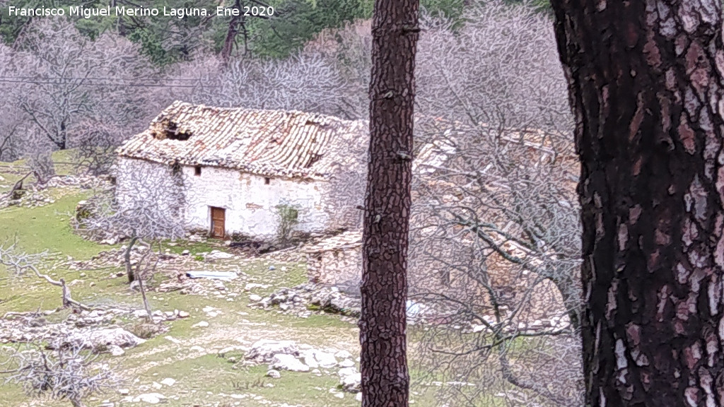 Cortijo de Locos - Cortijo de Locos. 