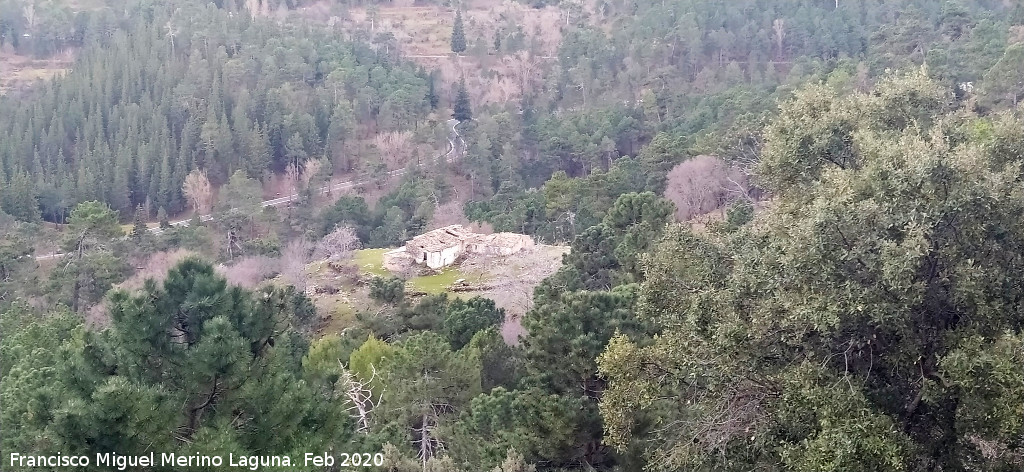 Cortijo de Locos - Cortijo de Locos. 